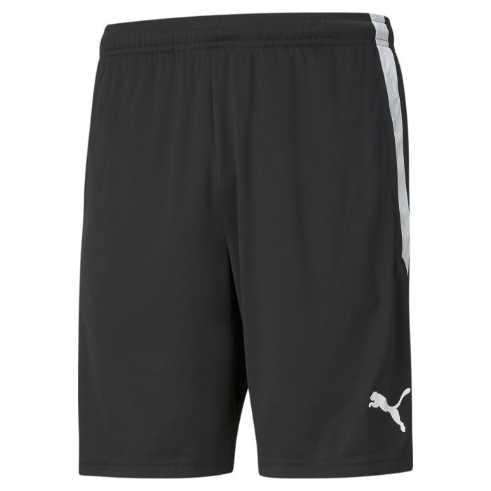 PUMA TEAMLIGA TRAINING SHORTS - Herren main product photo